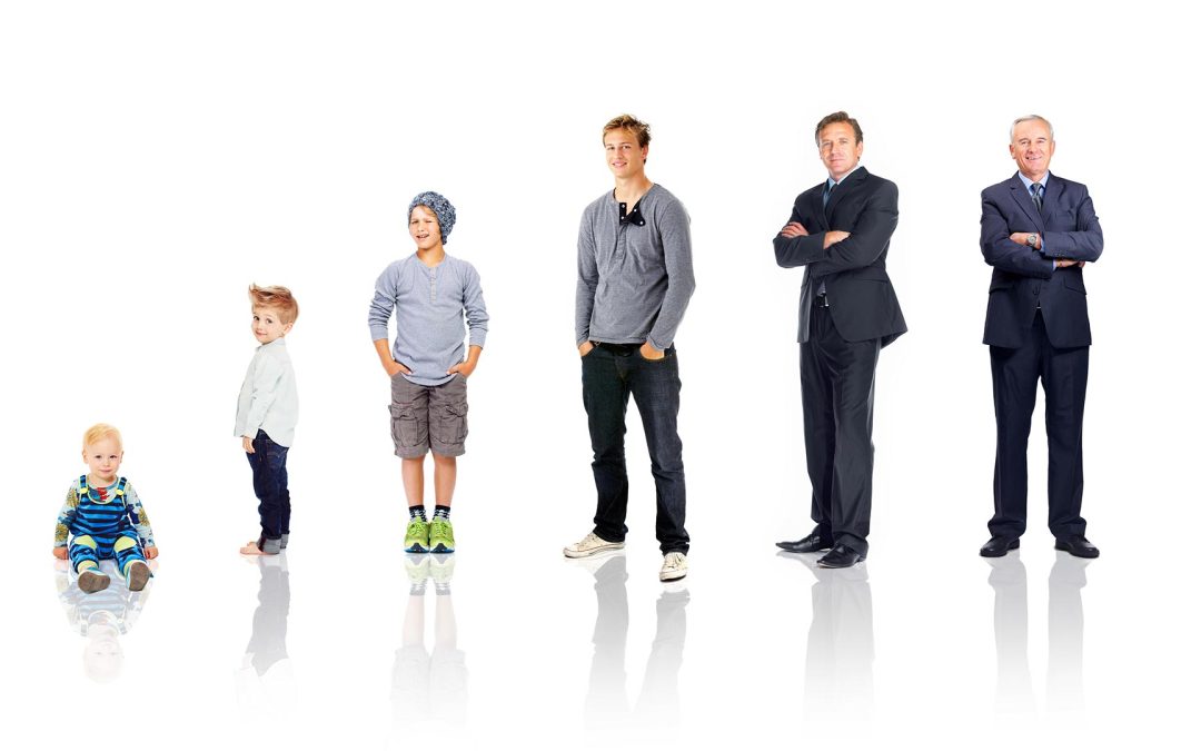 Las etapas trascendentales de la vida