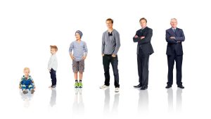 Las etapas trascendentales de la vida